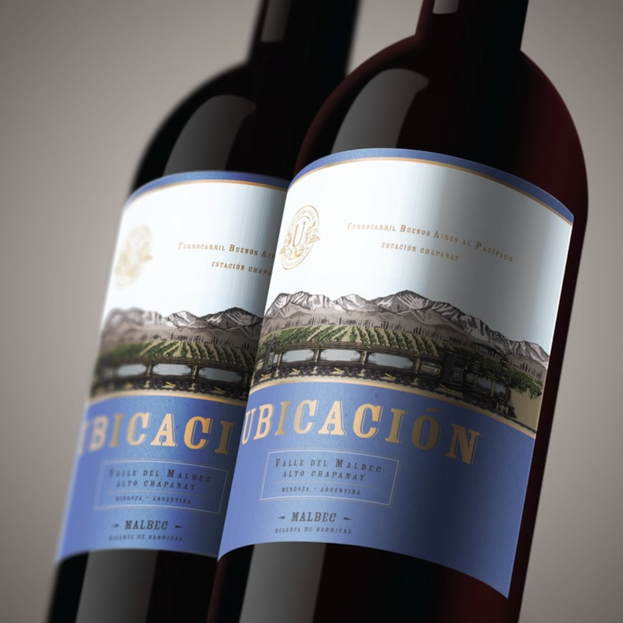 Malbec 2020 de Ubicacion Wines 12 meses en barrica de roble francés - Mendoza, Argentina