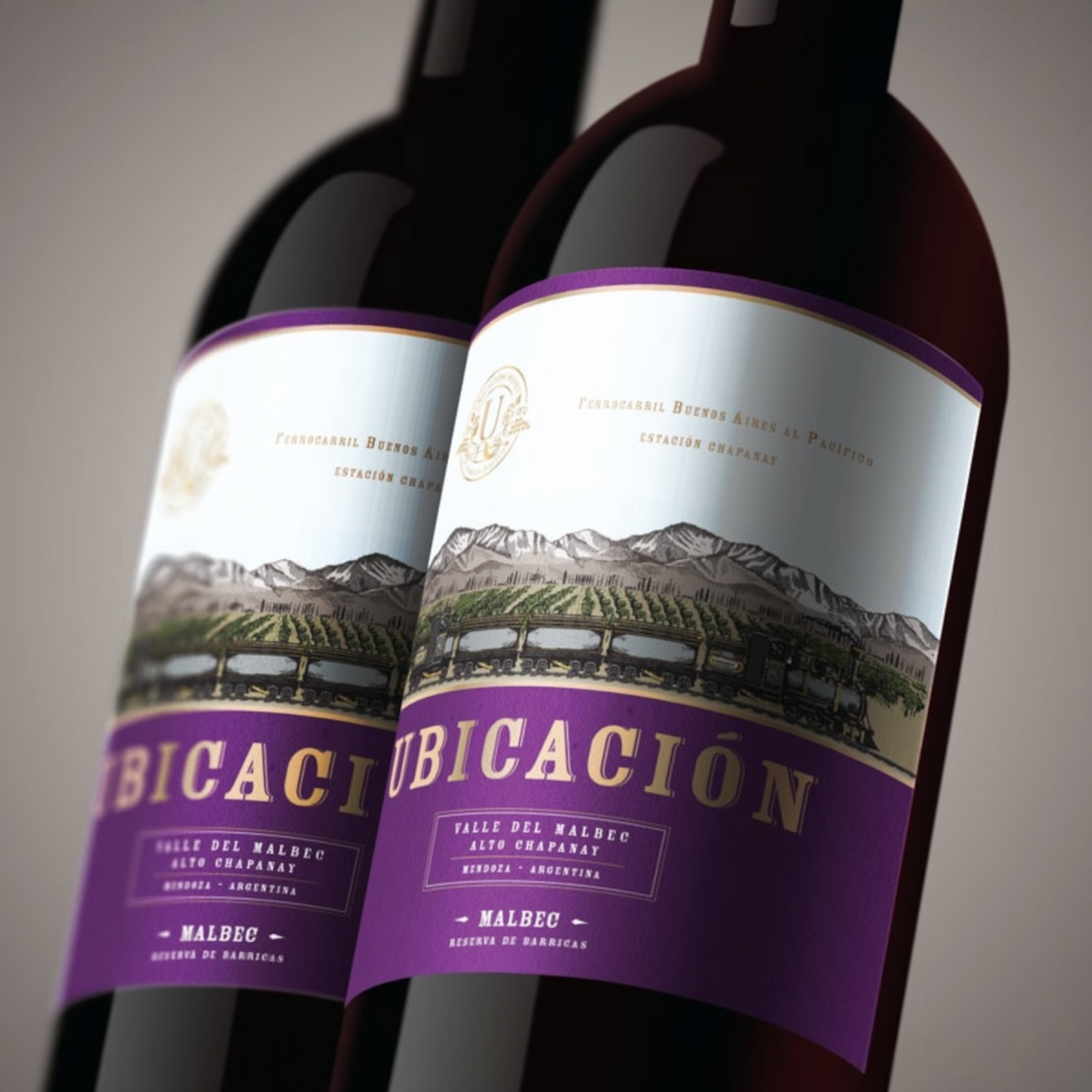 Malbec 2020 de Ubicacion Wines 12 meses en barrica de roble americano - Mendoza, Argentina